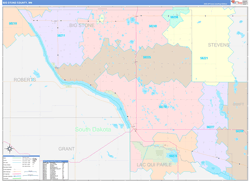 Big Stone County, MN Wall Map Color Cast Style 2024
